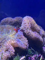 名古屋港水族館に投稿された画像（2026/8/16）