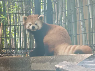千葉市動物公園に投稿された画像（2026/8/16）