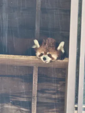 千葉市動物公園に投稿された画像（2026/8/16）
