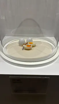 MINIATURE LIFE展2ー田中達也 見立ての世界ー（氷見市芸術文化館）に投稿された画像（2026/8/16）