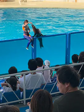 伊豆・三津シーパラダイスに投稿された画像（2026/8/16）