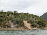 SUIGUN RIB TOURSに投稿された画像（2026/8/16）