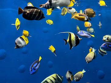 環境水族館アクアマリンふくしまに投稿された画像（2026/8/16）