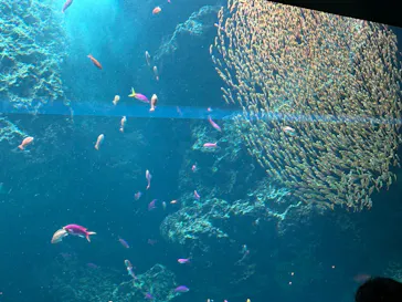 環境水族館アクアマリンふくしまに投稿された画像（2026/8/16）