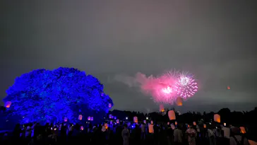東京 星空と光の夏祭り（開催日：8月8日～16日）に投稿された画像（2026/8/16）