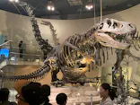 国立科学博物館に投稿された画像（2026/8/16）