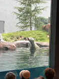 天王寺動物園に投稿された画像（2026/8/16）