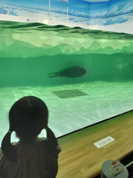滋賀県立琵琶湖博物館に投稿された画像（2026/8/16）