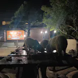 秋田市大森山動物園に投稿された画像（2026/8/16）