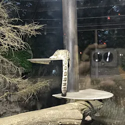 秋田市大森山動物園に投稿された画像（2026/8/16）