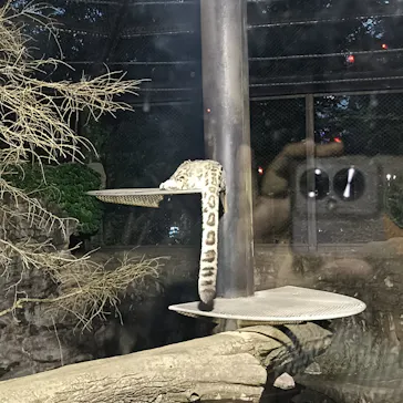 秋田市大森山動物園に投稿された画像（2026/8/16）