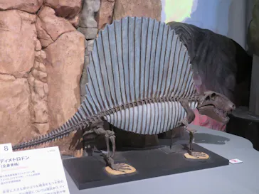 特別展「大絶滅展―生命史のビッグファイブ」に投稿された画像（2026/8/16）