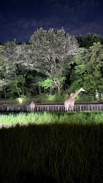 名古屋市東山動植物園に投稿された画像（2026/8/16）