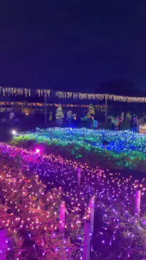 せんだい農業園芸センター　みどりの杜に投稿された画像（2026/8/16）