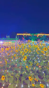 せんだい農業園芸センター　みどりの杜に投稿された画像（2026/8/16）