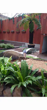 掛川花鳥園に投稿された画像（2026/8/16）