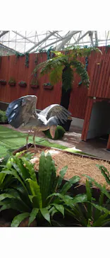 掛川花鳥園に投稿された画像（2026/8/16）