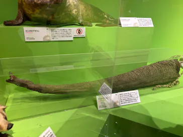 特別展「いきもの超ワールド展　国立科学博物館×ダーウィンが来た！」（国立科学博物館）に投稿された画像（2026/8/16）