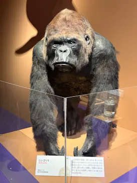 特別展「いきもの超ワールド展　国立科学博物館×ダーウィンが来た！」（国立科学博物館）に投稿された画像（2026/8/16）