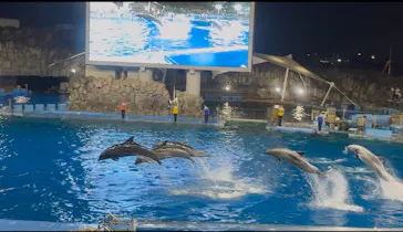 名古屋港水族館に投稿された画像（2026/8/16）
