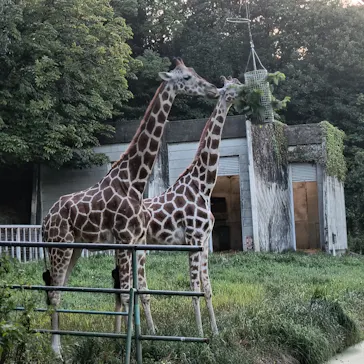 名古屋市東山動植物園に投稿された画像（2026/8/16）