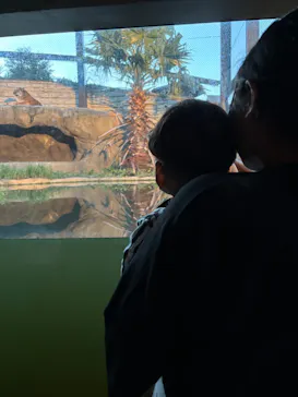 日立市かみね動物園に投稿された画像（2026/8/16）