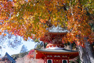 勝尾寺に投稿された画像（2026/8/16）