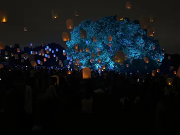 東京 星空と光の夏祭り（開催日：8月8日～16日）に投稿された画像（2026/8/16）