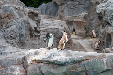 葛西臨海水族園に投稿された画像（2026/8/16）