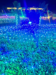 せんだい農業園芸センター　みどりの杜に投稿された画像（2026/8/16）