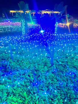 せんだい農業園芸センター　みどりの杜に投稿された画像（2026/8/16）