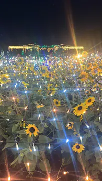 せんだい農業園芸センター　みどりの杜に投稿された画像（2026/8/16）