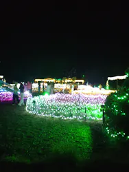 せんだい農業園芸センター　みどりの杜に投稿された画像（2026/8/17）