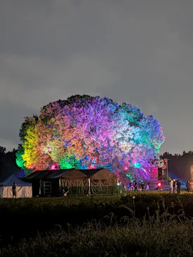 東京 星空と光の夏祭り（開催日：8月8日～16日）に投稿された画像（2026/8/17）