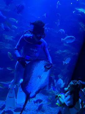 京都水族館に投稿された画像（2026/8/17）