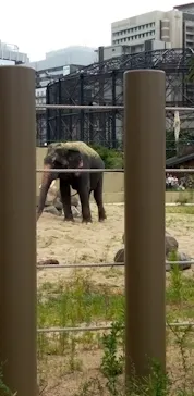 天王寺動物園に投稿された画像（2026/8/17）