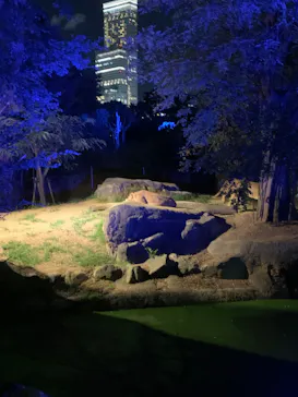 天王寺動物園に投稿された画像（2026/8/17）