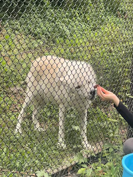 名古屋市東山動植物園に投稿された画像（2026/8/17）