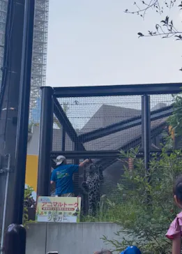 名古屋市東山動植物園に投稿された画像（2026/8/17）