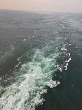 徳島県立 渦の道に投稿された画像（2026/8/17）
