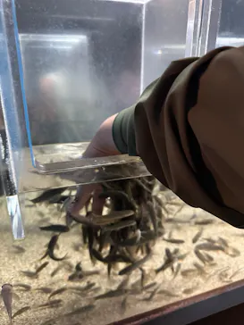 のとじま水族館に投稿された画像（2026/8/17）