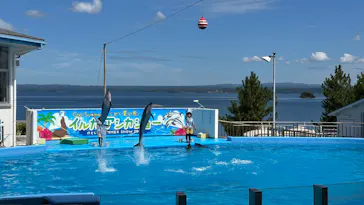 のとじま水族館に投稿された画像（2026/8/17）