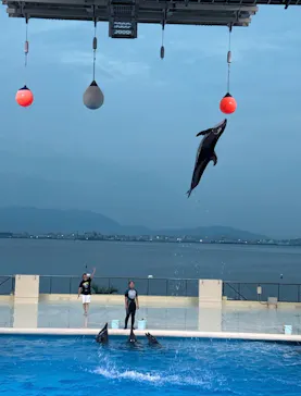 マリンワールド海の中道に投稿された画像（2026/8/17）