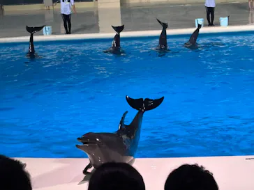 マリンワールド海の中道に投稿された画像（2026/8/17）