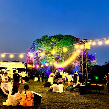 東京 星空と光の夏祭り（開催日：8月8日～16日）に投稿された画像（2026/8/17）