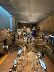 とぶ　空を旅する生きものたちの大冒険 (北九州市立自然史・歴史博物館（いのちのたび博物館))に投稿された画像（2026/8/17）