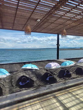 別府海浜砂湯「Sand SPA」に投稿された画像（2026/8/17）