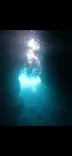 武藤潜水に投稿された画像（2026/8/17）