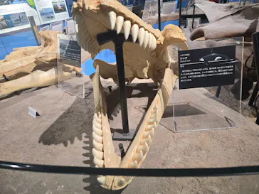 名古屋港水族館に投稿された画像（2026/8/17）