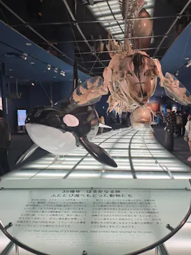 名古屋港水族館に投稿された画像（2026/8/17）